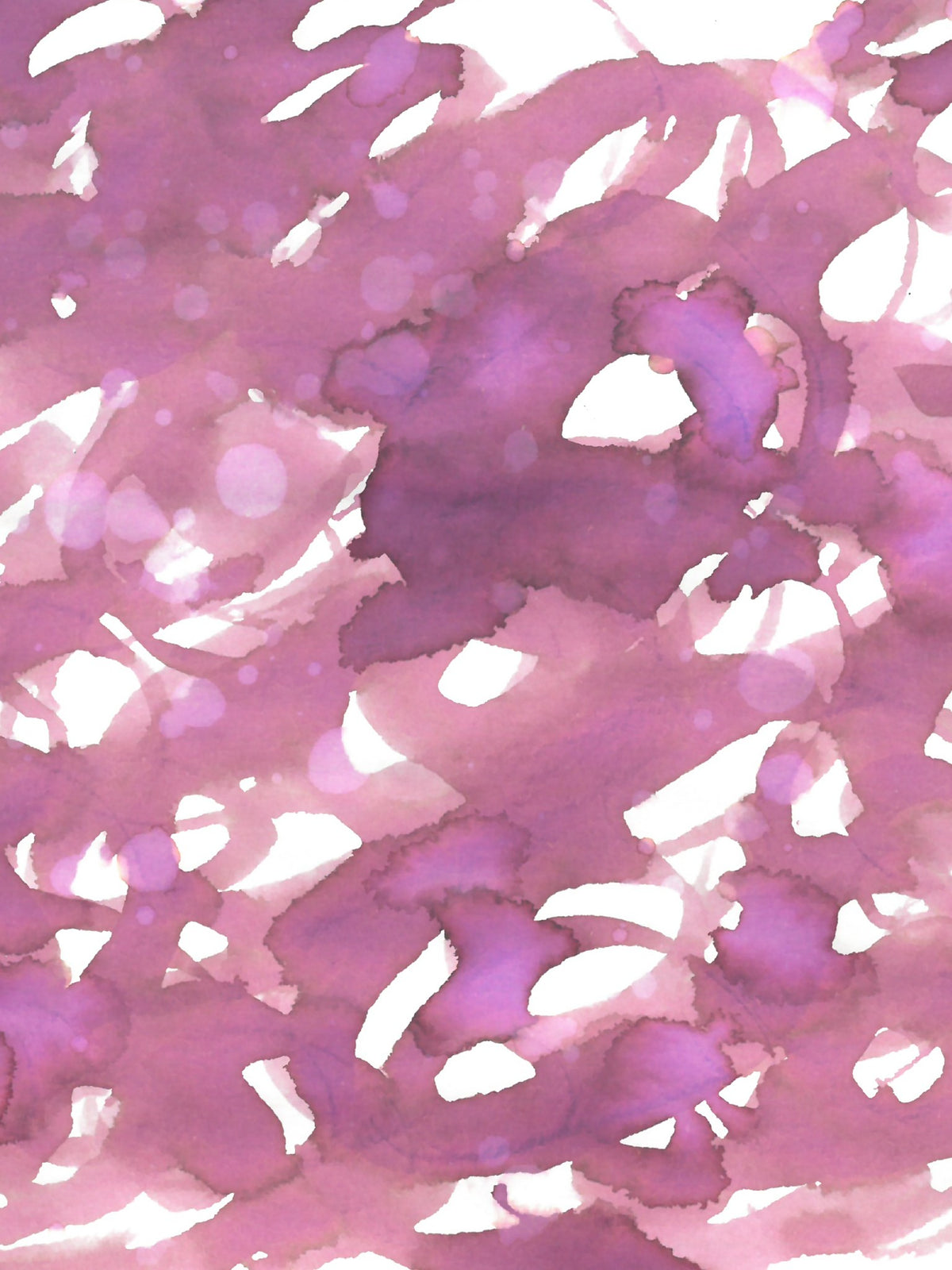 Cafe Cally Cosmos Waltz Ink
