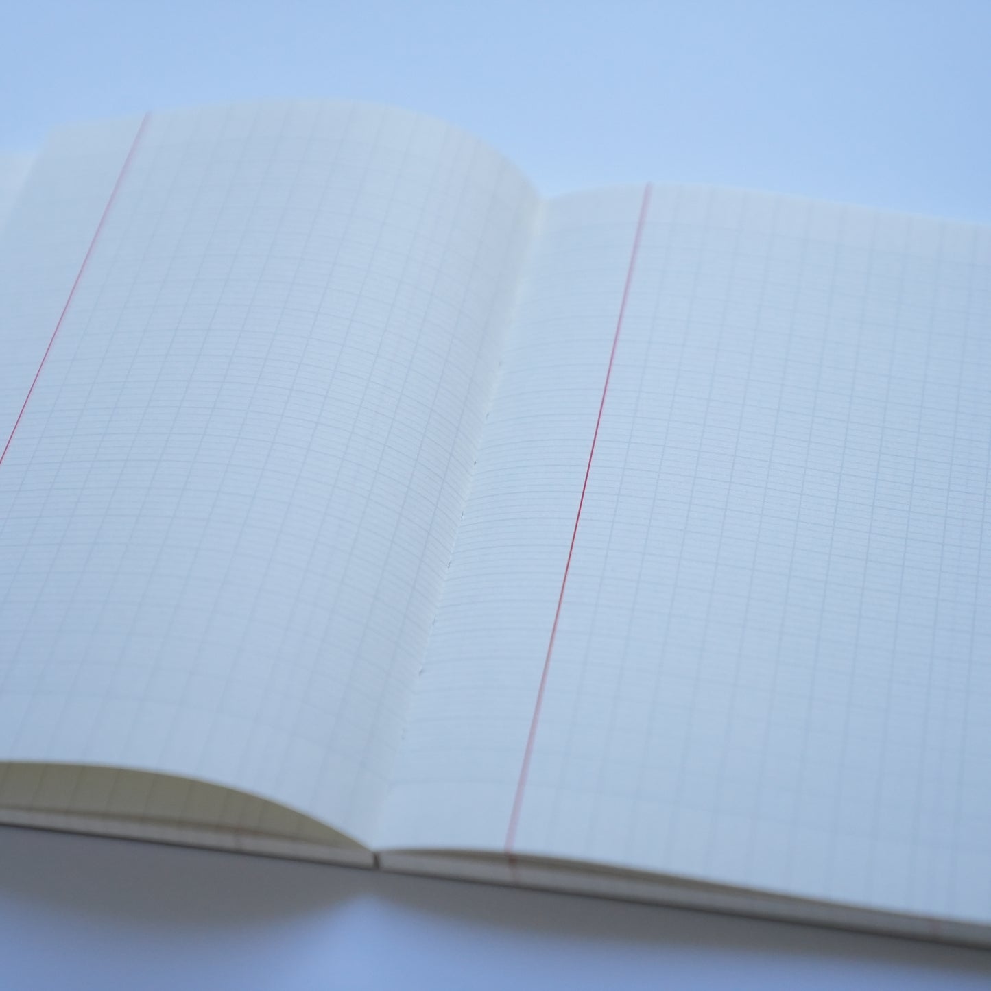 medium shot of  an open Bloom Notebook by Oh Bleu french lined