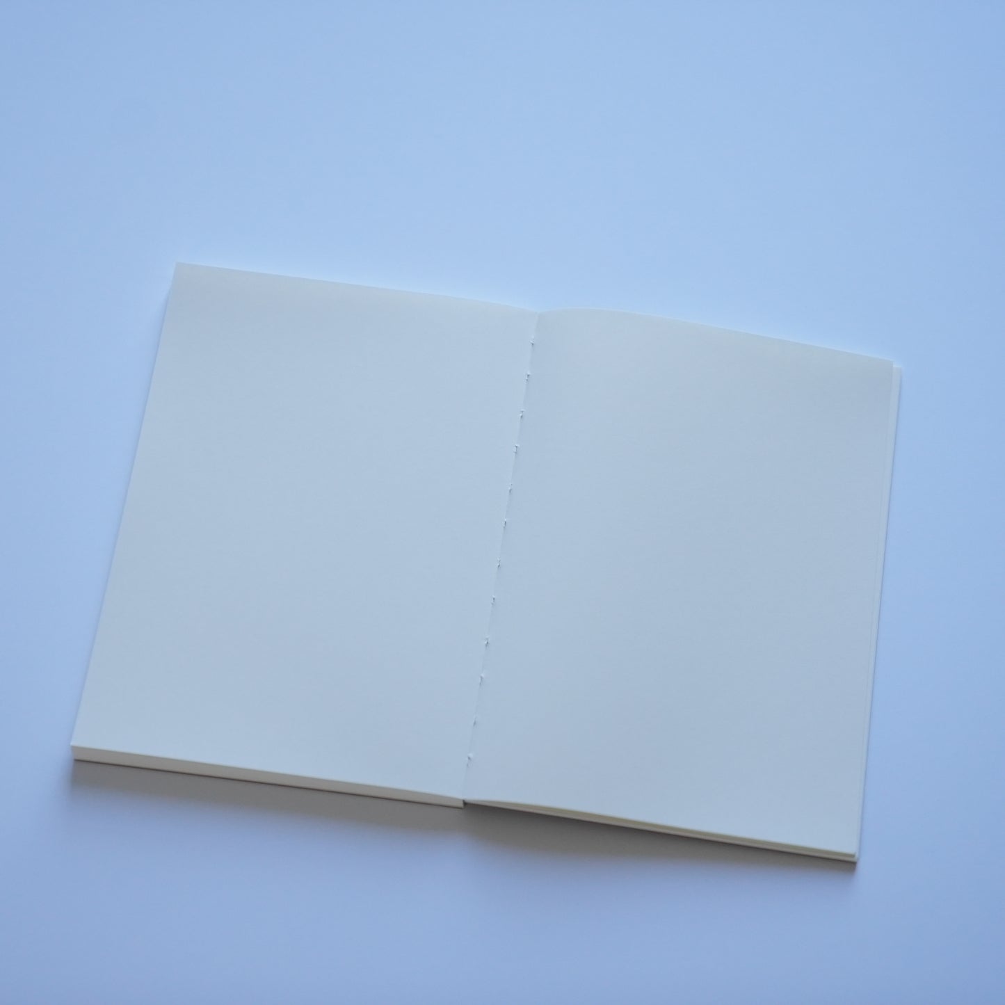 medium shot of  an open Bloom Notebook by Oh Bleu in blank/plain