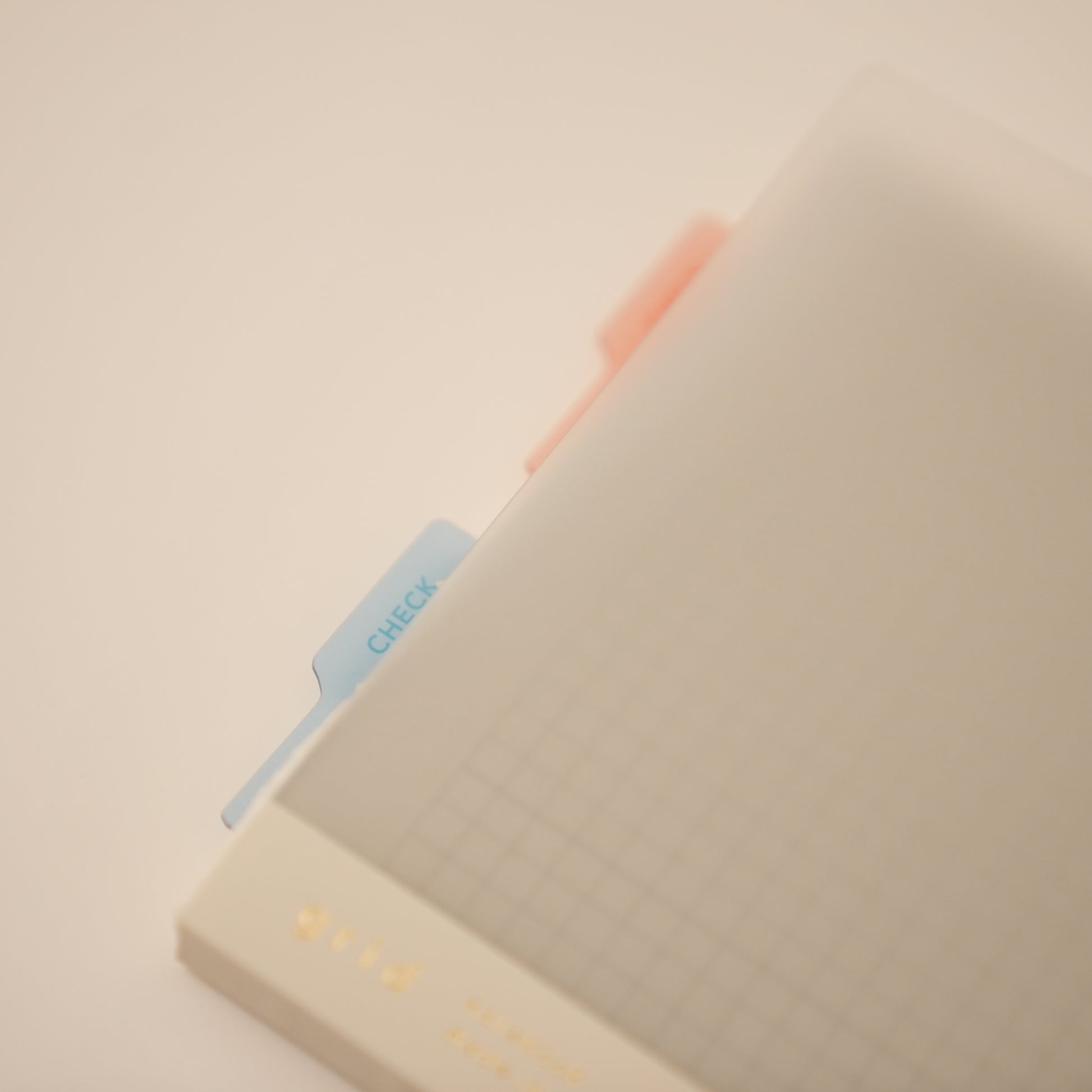 a blue sticky note bookmark/ ruler poking out of a daigo isshoni grid notebook