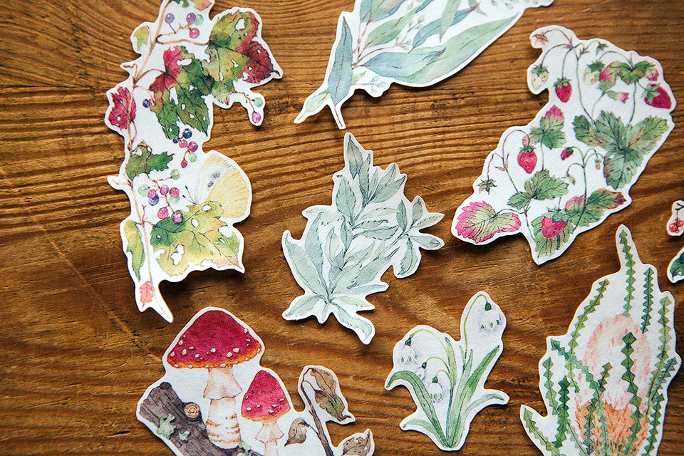 OURS Wild Wreath 2 Washi Tape