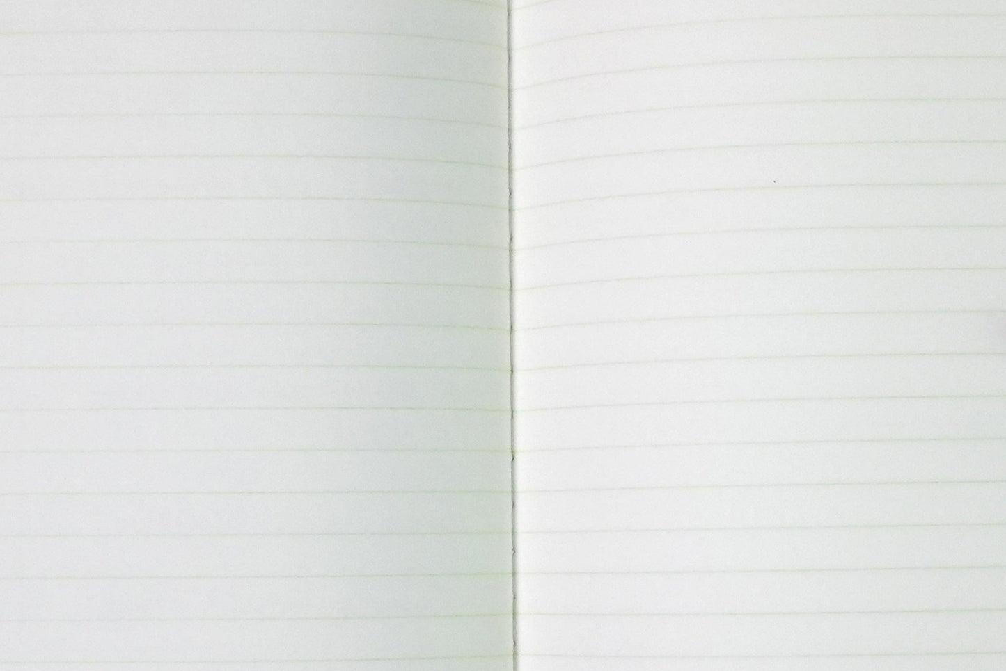 Fountain pen writing on LIFE Pistachio Notebook green lined pages