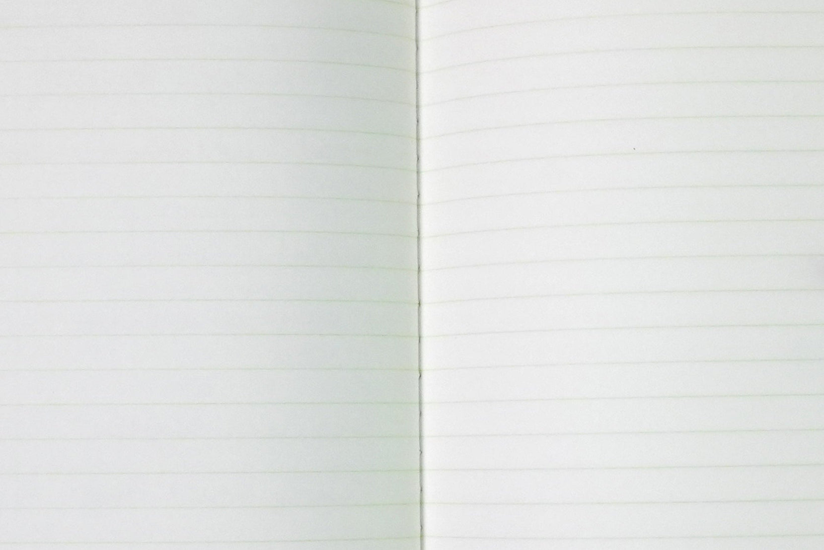 Fountain pen writing on LIFE Pistachio Notebook green lined pages